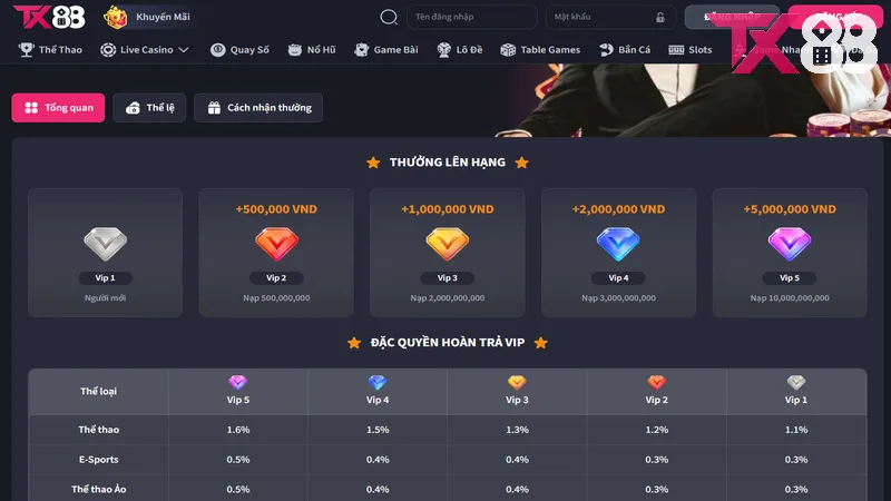 Theo dõi thông báo liên tục qua trang web nhà cái